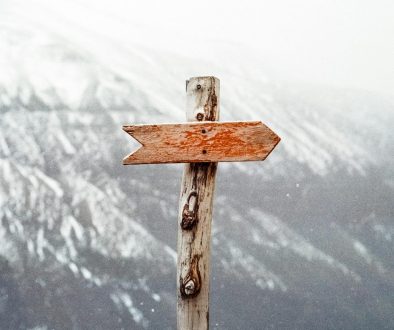A forked path in a forest symbolizing life’s choices and changes.