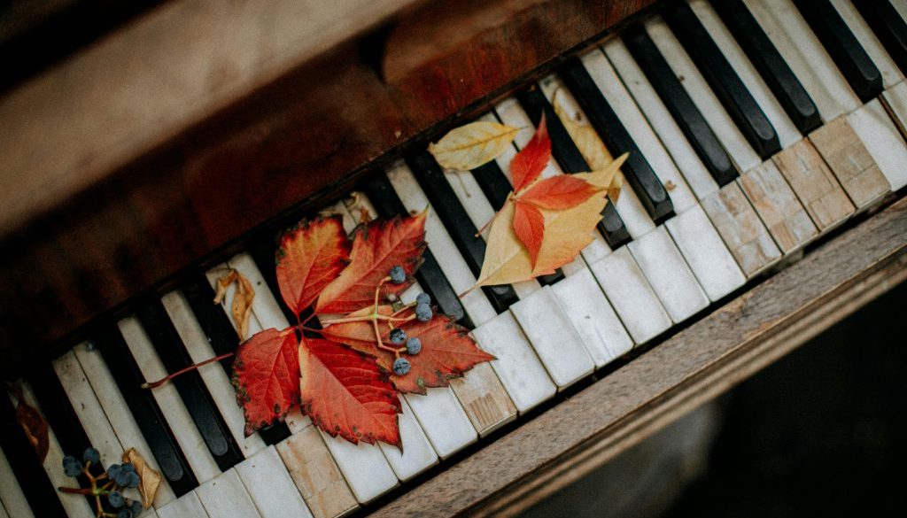 Close-up of piano keys symbolizing harmony and creativity.