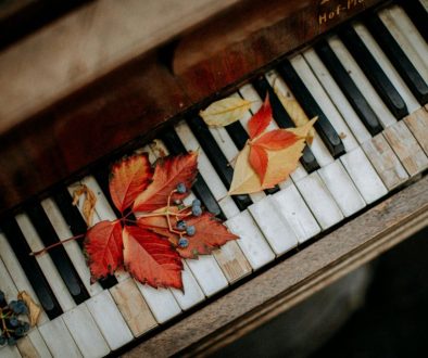Close-up of piano keys symbolizing harmony and creativity.